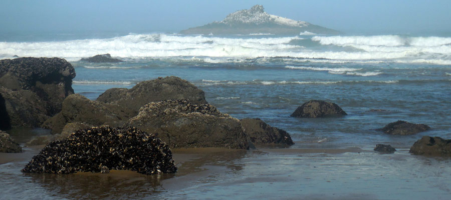 Palisades Condominiums, Lincoln City, Oregon